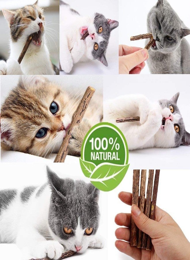 WoLover 10 PCS Cat Catnip Sticks, Natural Matatabi Silvervine Sticks - Cleaning Teeth Molar Tools Kitten Chew Toy Natural Catnip Cats Toy - Image 3